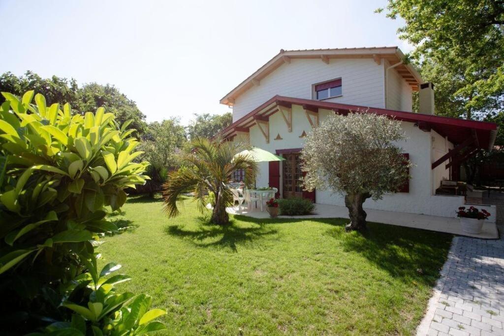 Villa Robert Shumann, A 700 M De La Plage Andernos-les-Bains Bagian luar foto